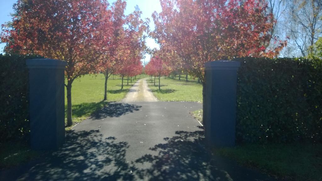 Korbaylen Estate Tamahere Exterior foto
